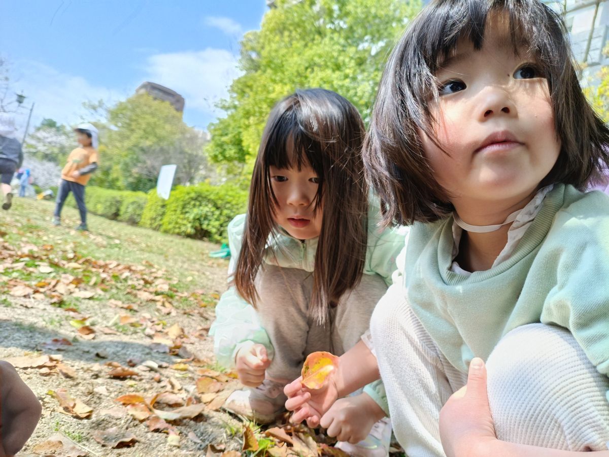 公園で落ち葉をひろう子どもたち